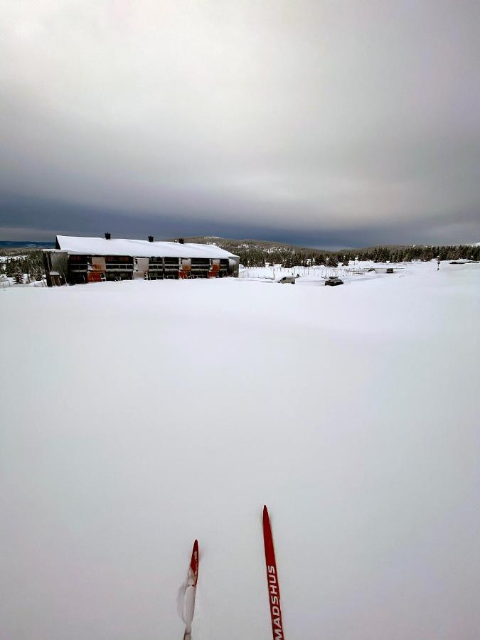 Lys Og Moderne Leilighet Rett Ved Skiloypa Pa Nordseter - Kort Vei Til Sjusjoen, Lillehammer Og Hafjell - Dyr Ikke Tillatt Exterior photo