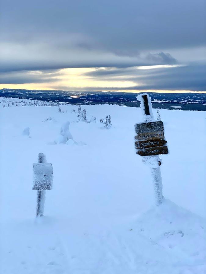 Lys Og Moderne Leilighet Rett Ved Skiloypa Pa Nordseter - Kort Vei Til Sjusjoen, Lillehammer Og Hafjell - Dyr Ikke Tillatt Exterior photo